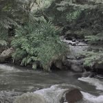 Javier BARDEM nu dans le film Dancer Upstairs