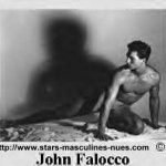 john falocco nu