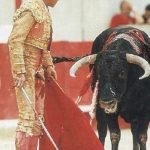 sebastian castella nu