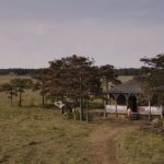 Philipp Hochmair nu dans le film Madame Nobel