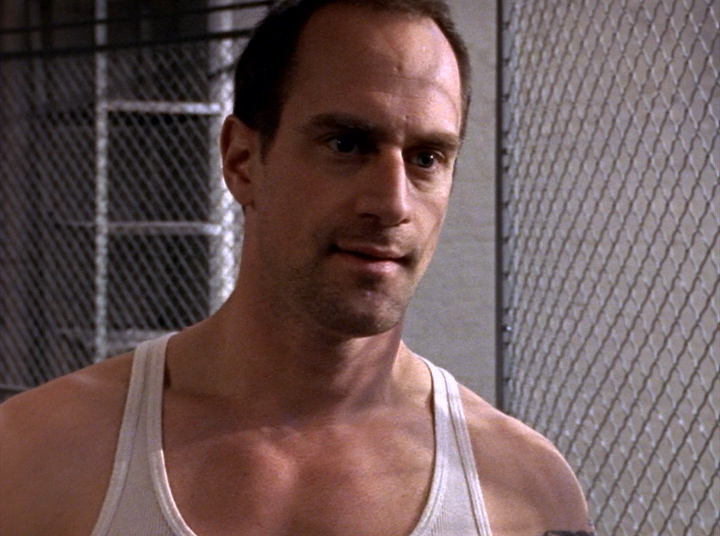 Christopher MELONI - Stars Masculines Nues