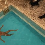 Danny Huston nu dans la série Magic City