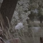 Tom De Hoog going frontal in short movie Tweesprong